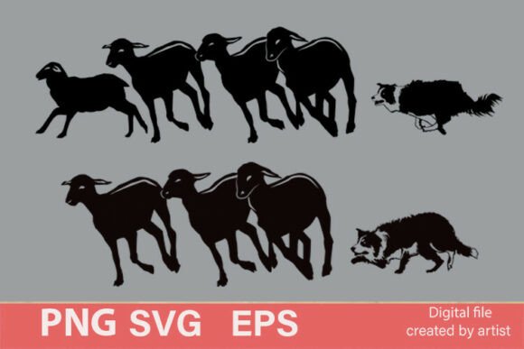 Shepherd Dog SVG, Border Collie Svg, 44