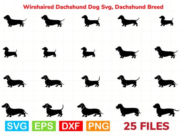 Wirehaired Dachshund Dog Svg